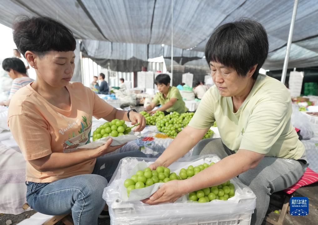 百家了庄闲技巧赌必胜